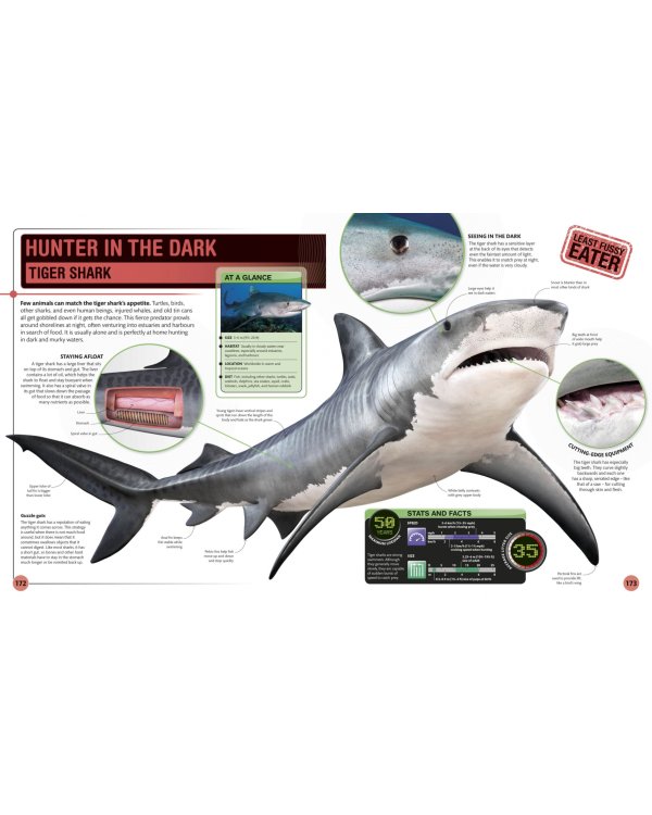 Super Shark and Other Creatures of the Deep