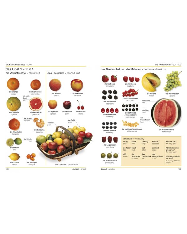 German-English Bilingual Visual Dictionary with Free Audio App