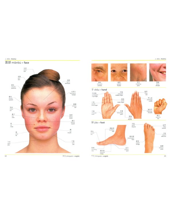 Mandarin Chinese-English Bilingual Visual Dictionary