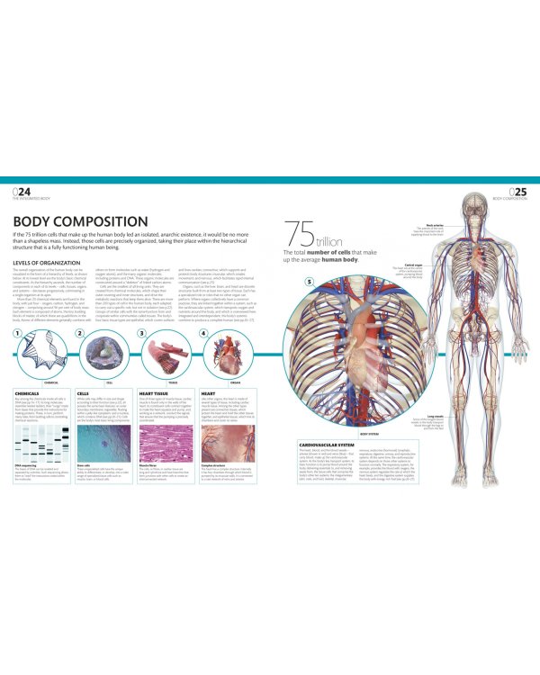 The Complete Human Body. The Definitive Visual Guide