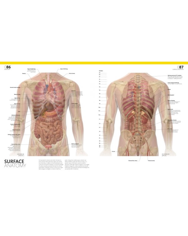 The Complete Human Body. The Definitive Visual Guide