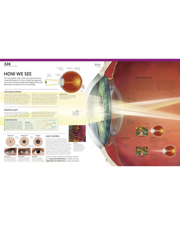 The Complete Human Body. The Definitive Visual Guide