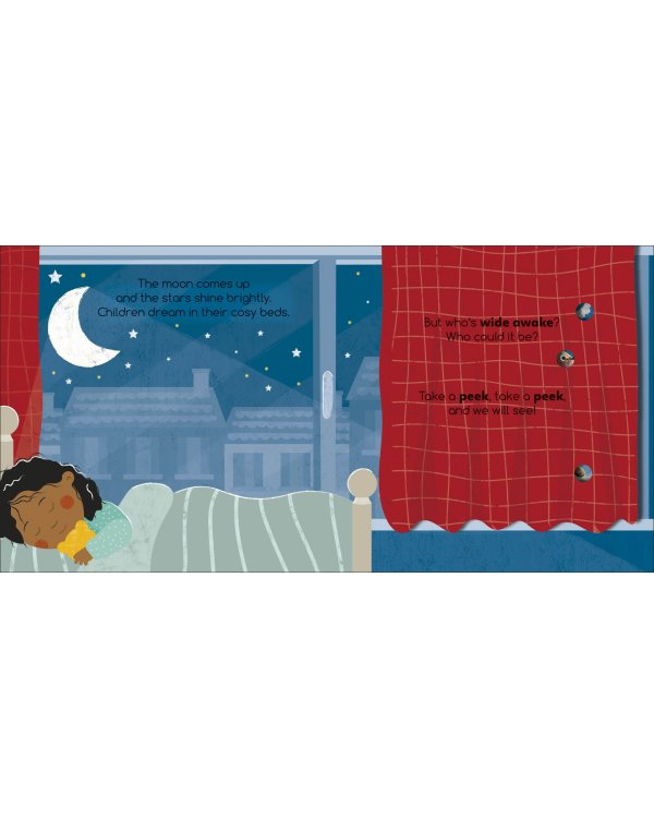 Flip Flap Find! Night-time Animals