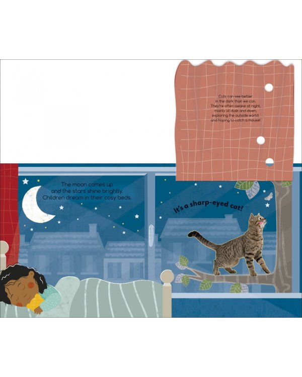 Flip Flap Find! Night-time Animals