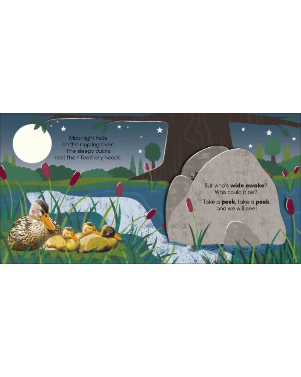 Flip Flap Find! Night-time Animals