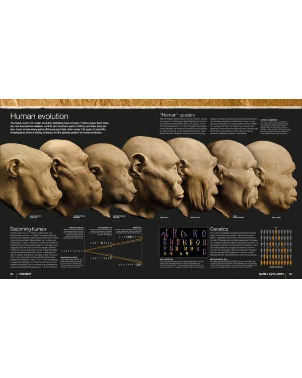 Evolution. The Human Story
