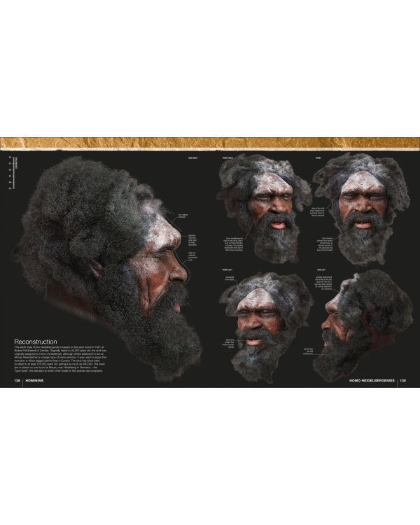 Evolution. The Human Story