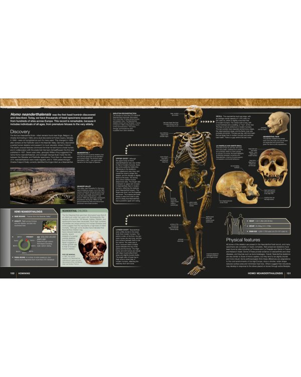 Evolution. The Human Story