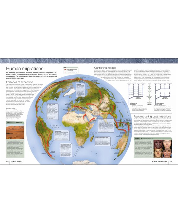 Evolution. The Human Story
