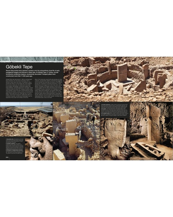 Evolution. The Human Story