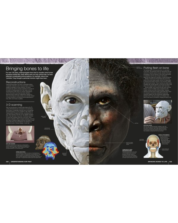 Evolution. The Human Story