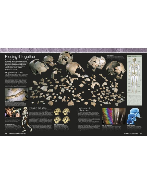 Evolution. The Human Story