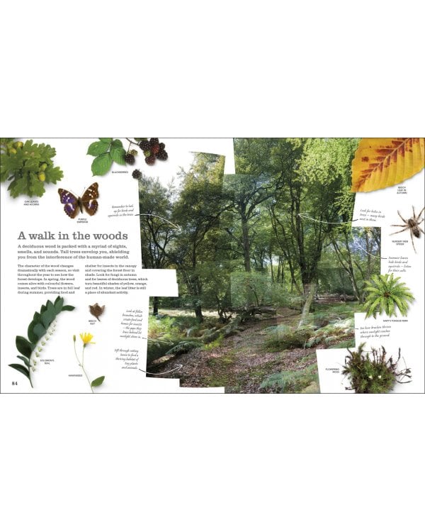 Chris Packham's Nature Handbook. Explore the Wonders of the Natural World