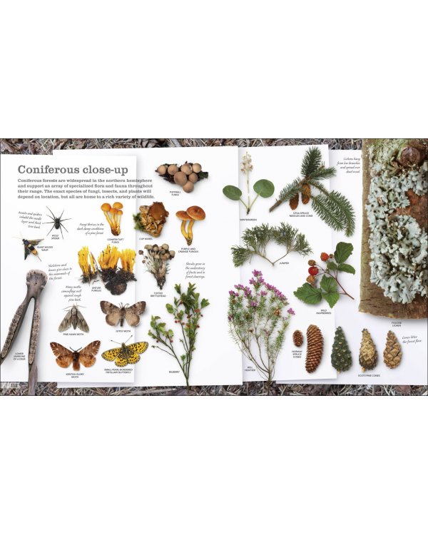 Chris Packham's Nature Handbook. Explore the Wonders of the Natural World