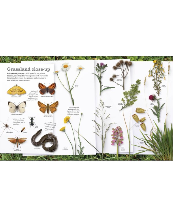 Chris Packham's Nature Handbook. Explore the Wonders of the Natural World