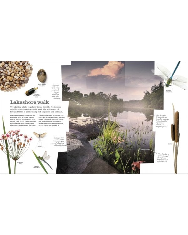 Chris Packham's Nature Handbook. Explore the Wonders of the Natural World