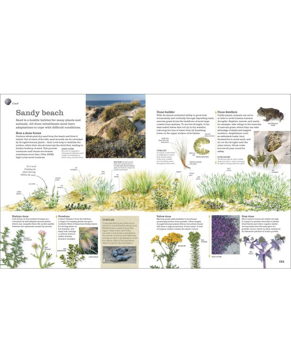 Chris Packham's Nature Handbook. Explore the Wonders of the Natural World