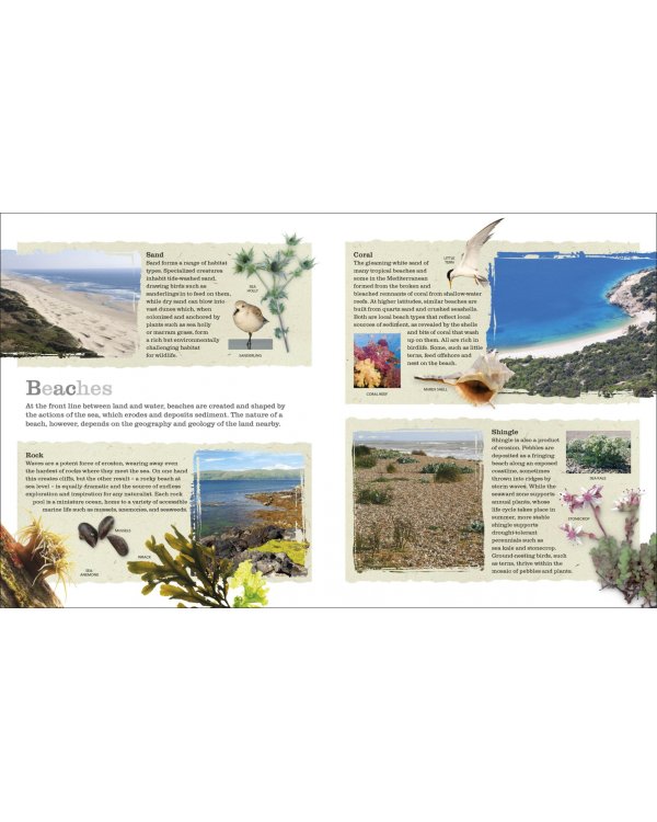 Chris Packham's Nature Handbook. Explore the Wonders of the Natural World