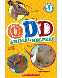 Odd Animal Helpers. Level 3