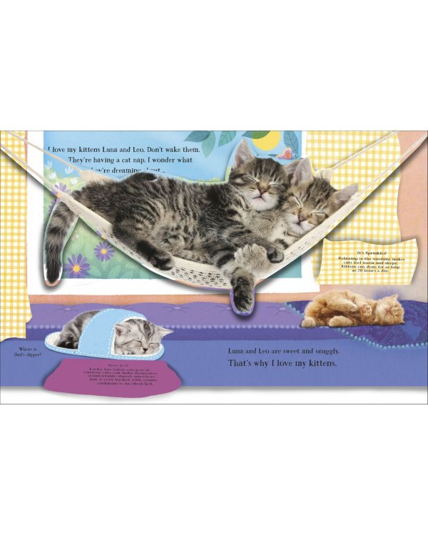 I Love My Kitten. A Pop-Up Book About the Lives of Cute Kittens