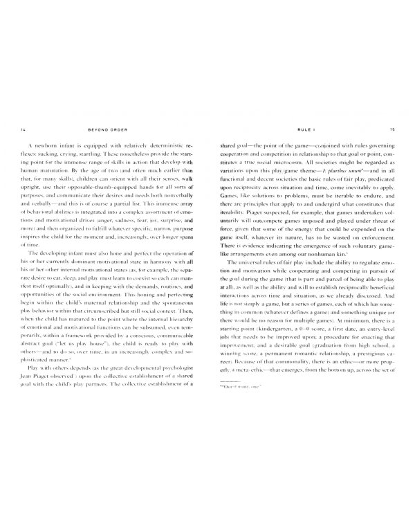 Beyond Order. 12 More Rules for Life