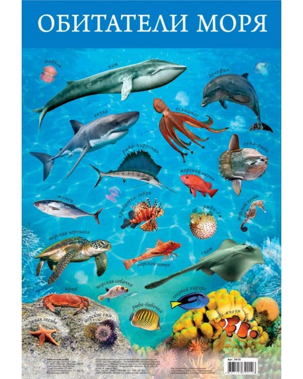 Комплект из 8 обучающих плакатов. Живая природа