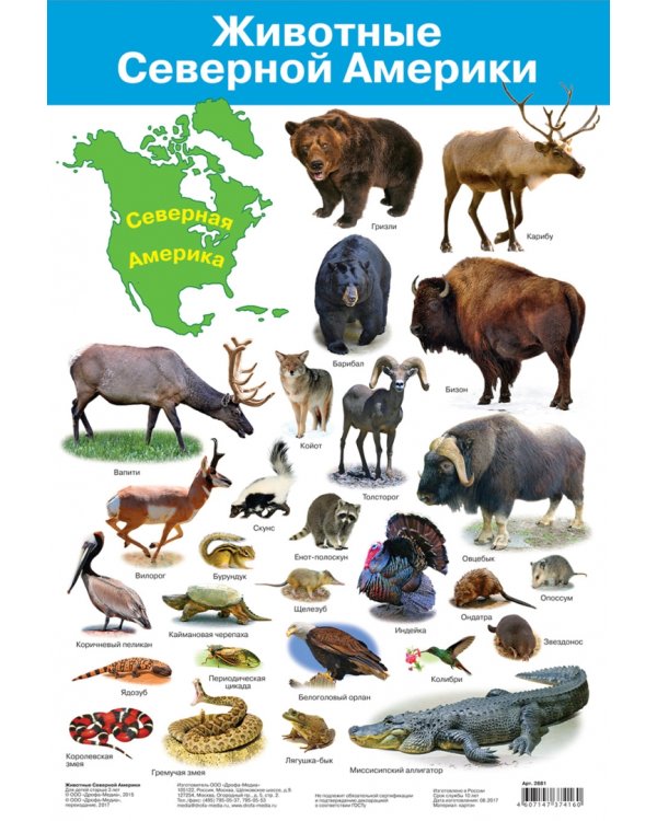 Комплект из 8 обучающих плакатов. Живая природа