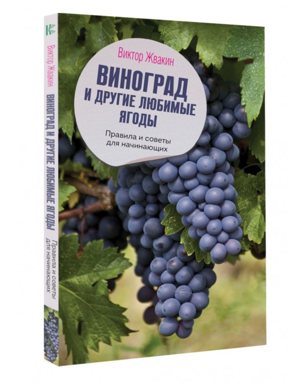 Виноград и другие любимые ягоды. Правила и советы для начинающих