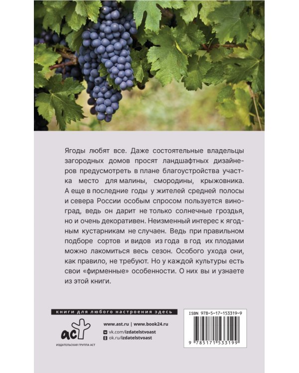 Виноград и другие любимые ягоды. Правила и советы для начинающих