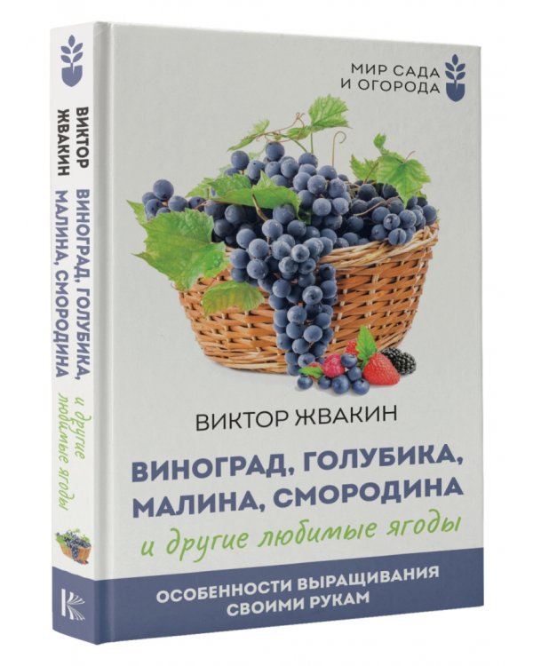 Виноград, голубика, малина, смородина и другие любимые ягоды. Особенности выращивания своими руками