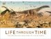 Life Through Time. The 700-Million-Year Story of Life on Earth