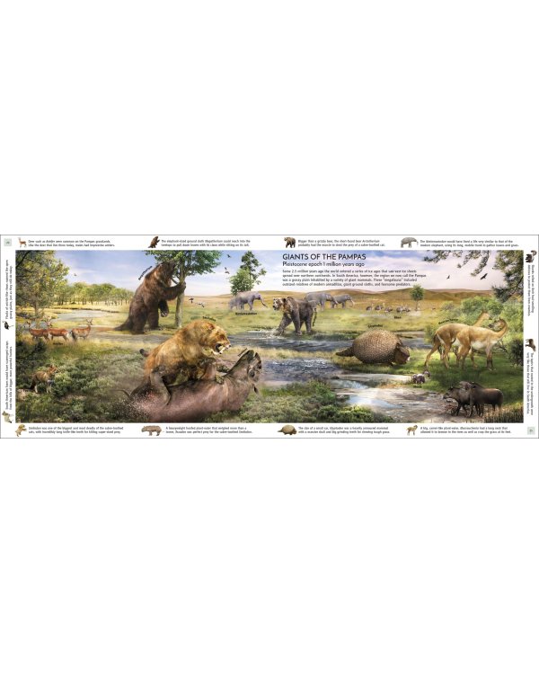 Life Through Time. The 700-Million-Year Story of Life on Earth