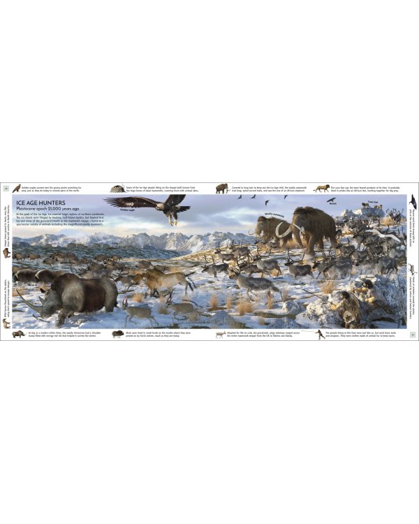 Life Through Time. The 700-Million-Year Story of Life on Earth