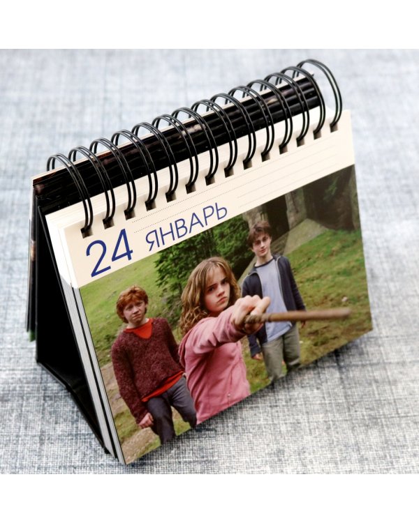Гарри Поттер. Настольный календарь в футляре