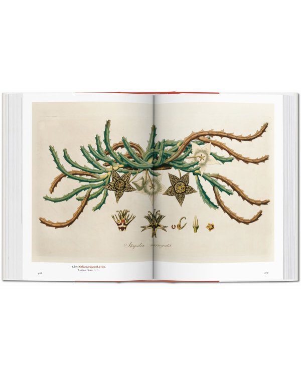 A Garden Eden. Masterpieces of Botanical Illustrat