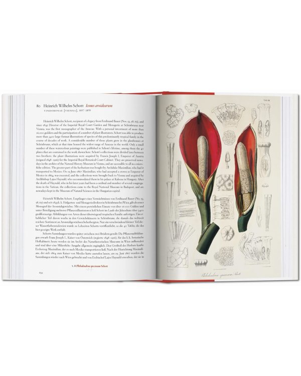 A Garden Eden. Masterpieces of Botanical Illustrat