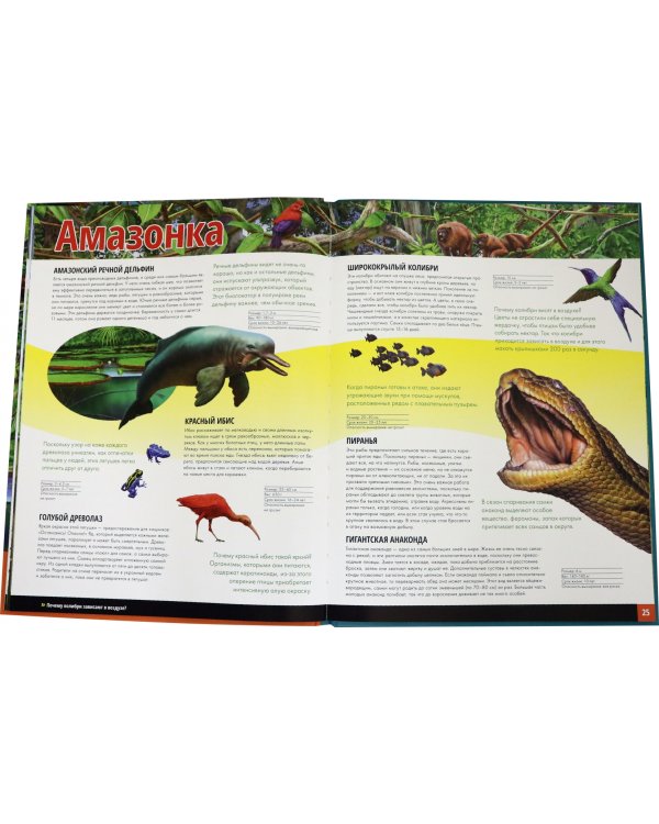 Жизнь животных. Реки и озера