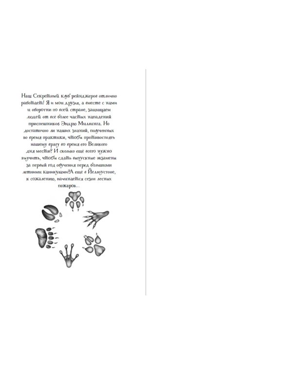 Дети леса. Книги 4-6. Комплект с плакатом