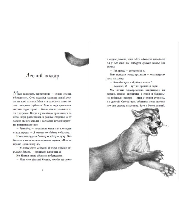 Дети леса. Книги 4-6. Комплект с плакатом