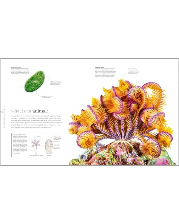 The Science of Animals. Inside their Secret World