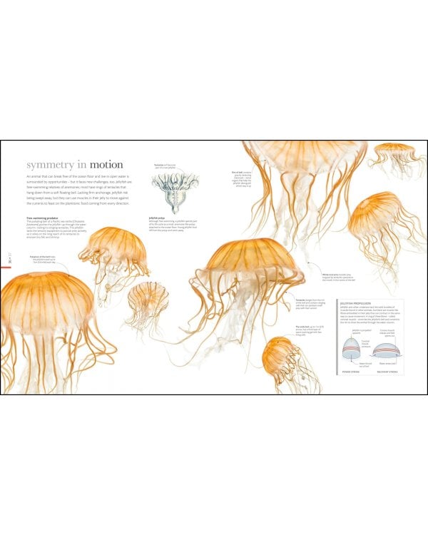 The Science of Animals. Inside their Secret World