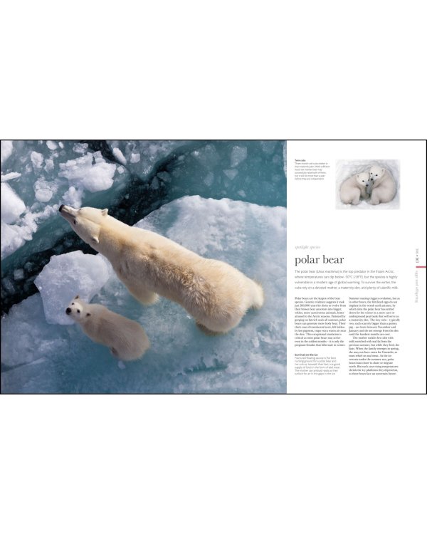 The Science of Animals. Inside their Secret World