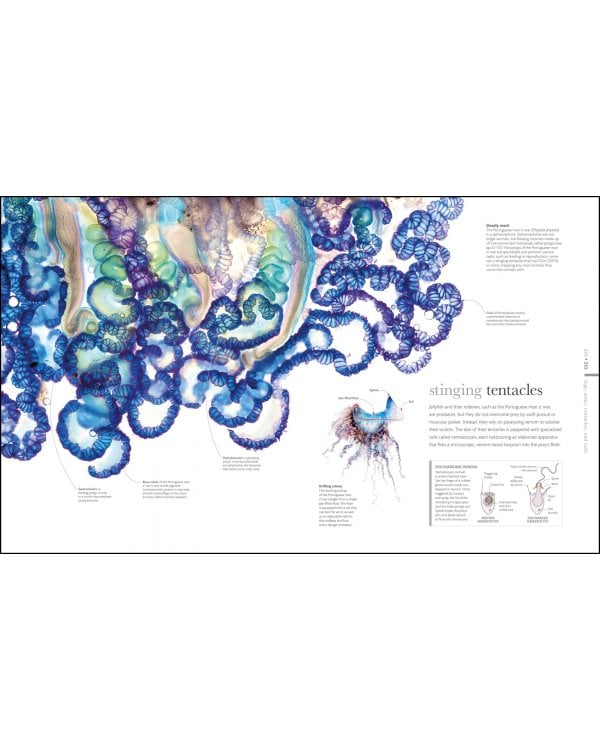 The Science of Animals. Inside their Secret World