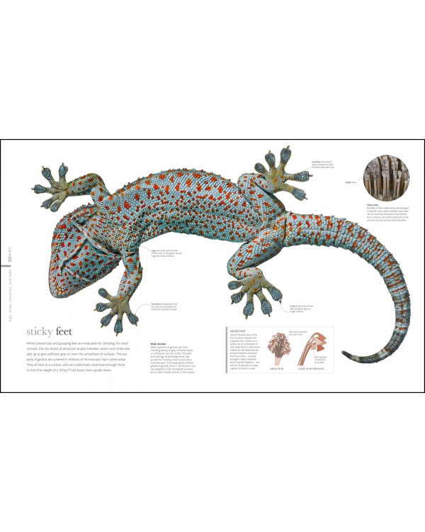 The Science of Animals. Inside their Secret World