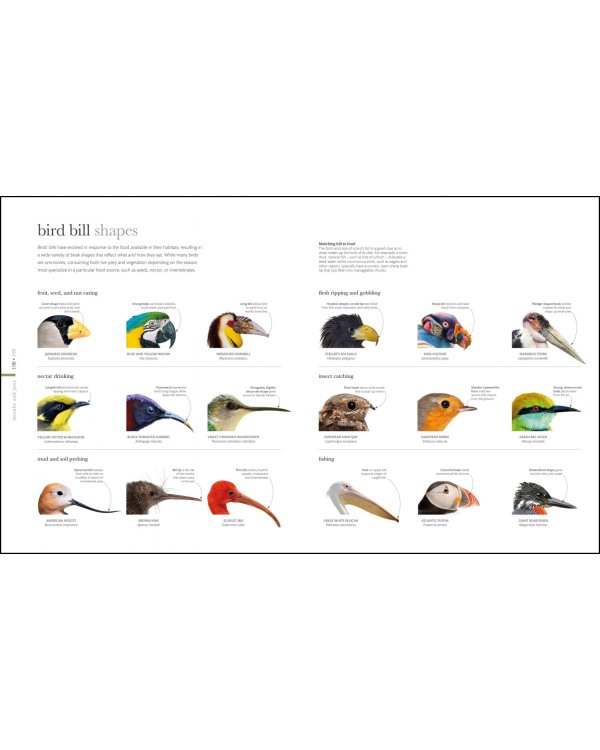 The Science of Animals. Inside their Secret World