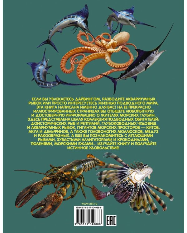 Подводный мир