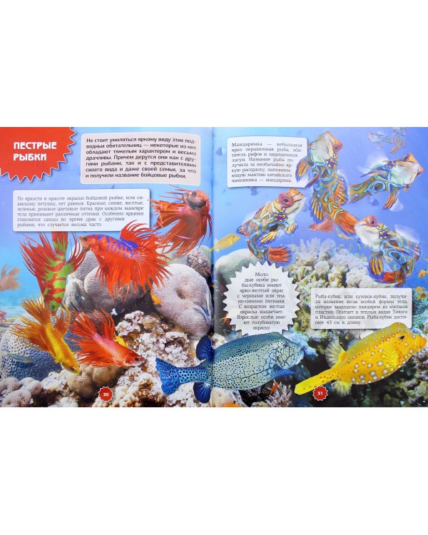 Подводный мир