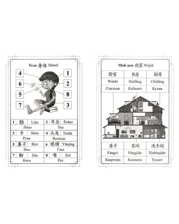 Китайско-русский словарь с картинками