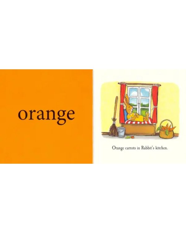 Tales From Acorn Wood Little Library (4-book set)