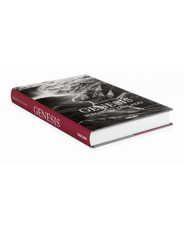 Sebastiao Salgado. Genesis